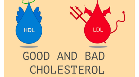 Các thực phẩm giúp giảm cholesterol “xấu” một cách tự nhiên